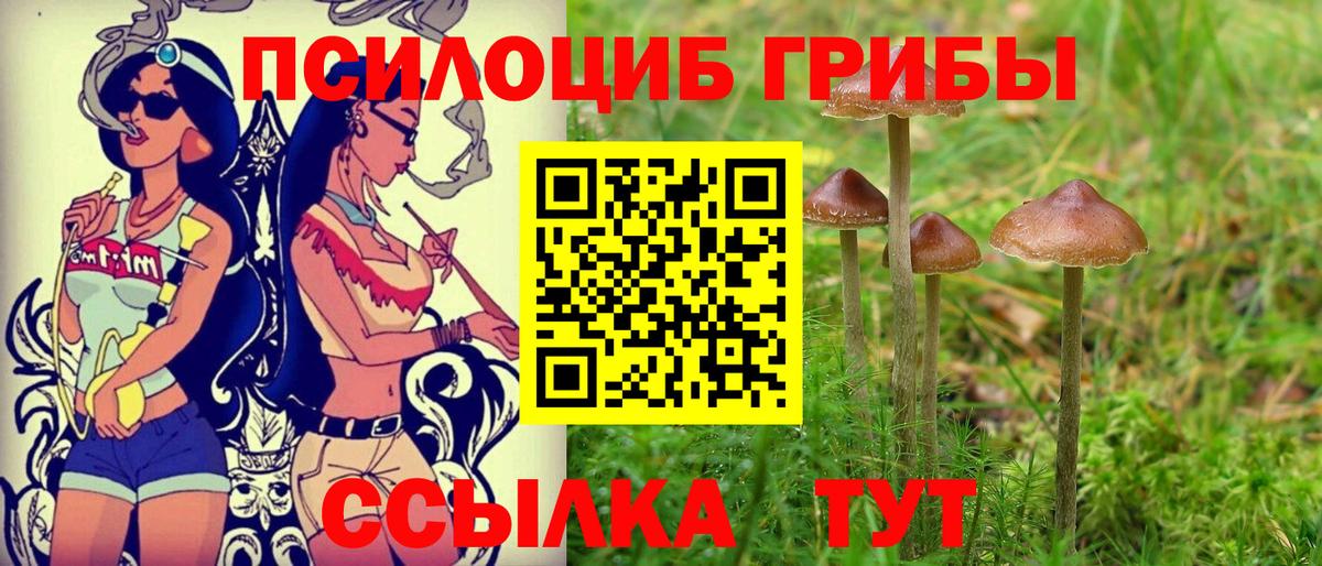 закладка  Вход с VPN  Шелехов  Галлюциногенные грибы Magic Shrooms 