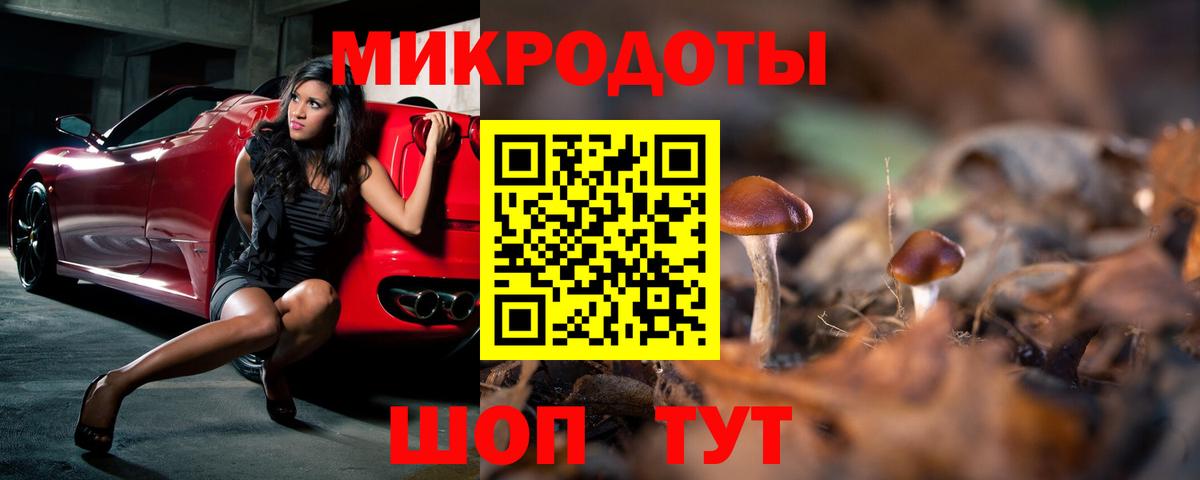 Галлюциногенные грибы прущие грибы Шелехов